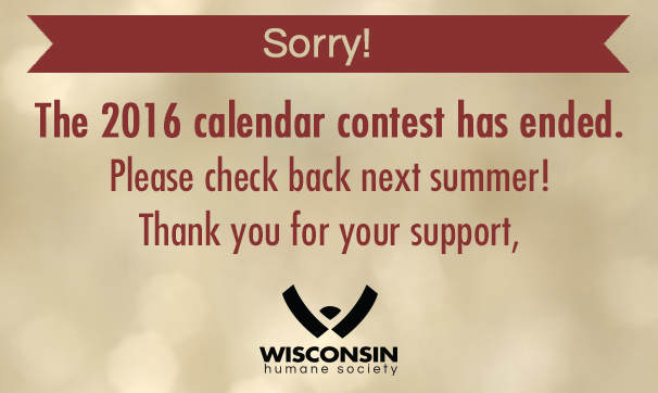 The 2016 Calendar Contest has ended.