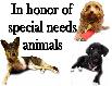 Special Needs Animals