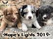 2019 Hope's Lights