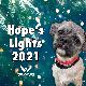 2021 Hope's Lights