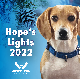 2022 Hope's Lights
